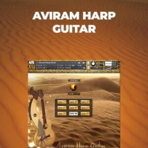 Aviram Dayan Aviram Harp Guitar Website Poster
