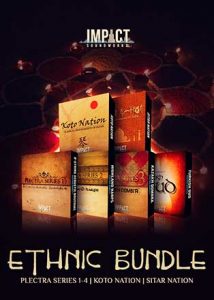 ethnic instruments bundle