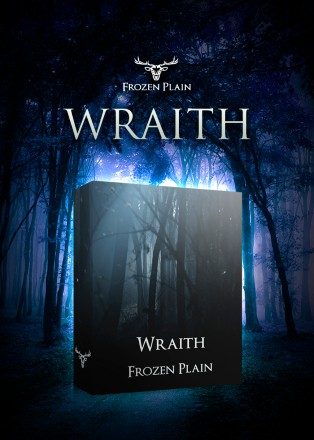 Wraith by Frozen Plain