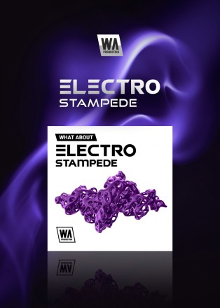 Electro Stampede by W.A. Production