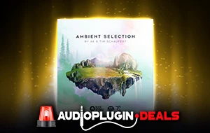 AMBIENT SELECTION