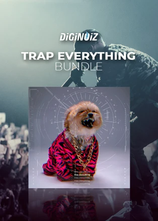 Trap Everything Bundle by Diginoiz