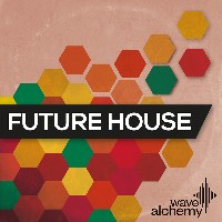 Future House Drums