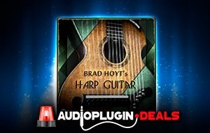 Brad Hoyt's harp guitar