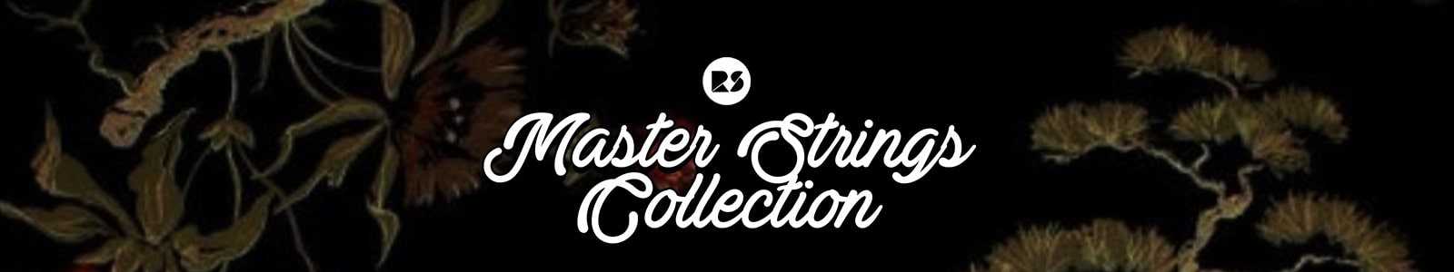 Master Strings Collection by Rast Sound