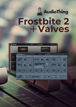 Valves & Frostbite Bundle by AudioThing