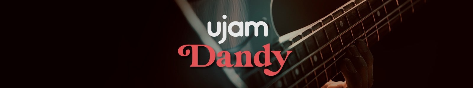 Virtual Bassist DANDY by UJAM