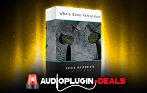 Whale Bone Percussion by Glitchedtones