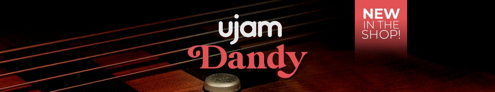 Virtual Bassist DANDY by UJAM