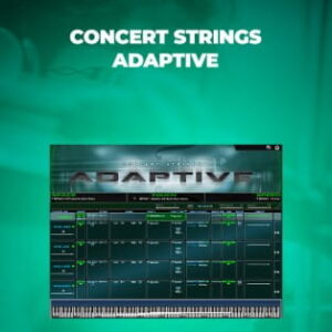Kirk Hunter Concert Strings Adaptive Website Poster