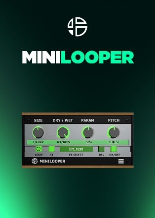 MiniLooper by Audio Blast