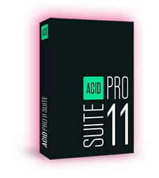 acid pro suite int