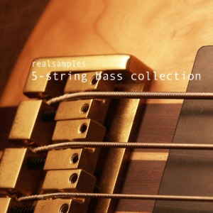 realsamples String Bass Collection