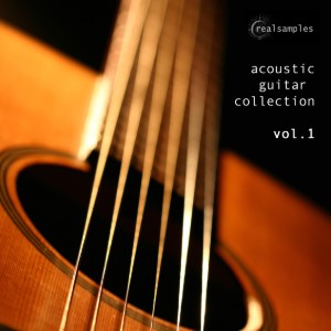 realsamples Acoustic Guitar Collection Vol