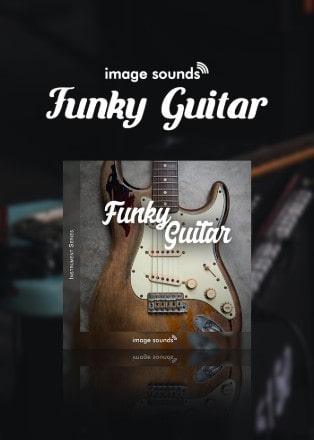 Funky Guitar 1 by Image Sounds