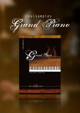 Realsamples Grand Piano poster min