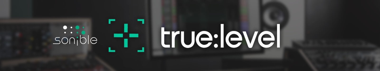 Sonible True Level header min