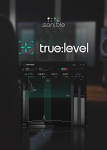 Sonible True Level poster min
