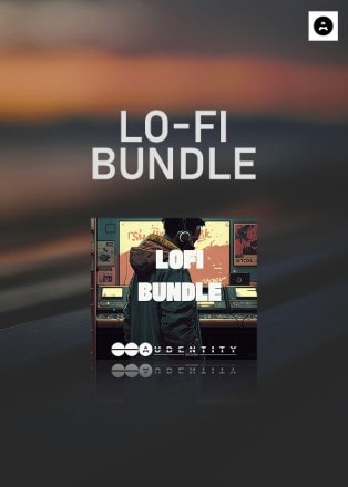 Lo Fi Bundle poster min