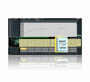 NiuPlusPlus MidiPhrase Bundle box shot min