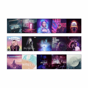 Black Octopus Sound Mega Vocal Bundle Website Box Shot