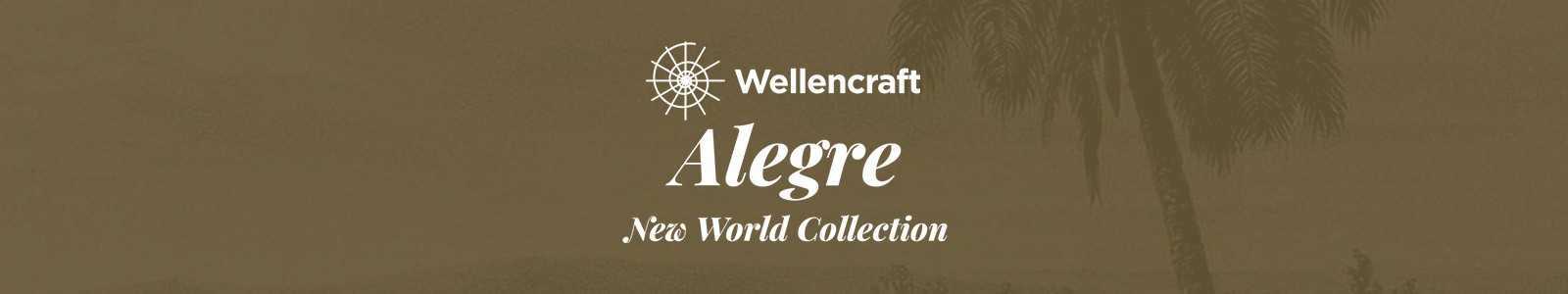 Wellencraft Alegre Website Header