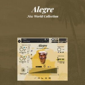 Wellencraft Alegre Website Poster