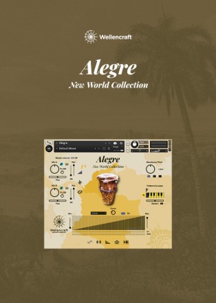 Wellencraft Alegre Website Poster