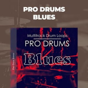 Image Sounds Pro Drums Blues Poster