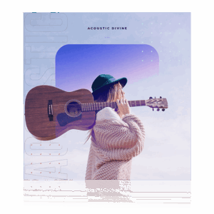 Diginoiz Acoustic Divine box shot