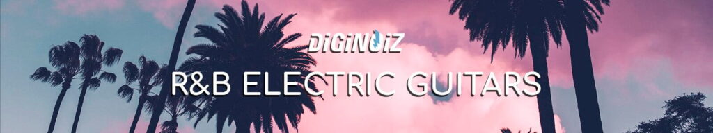 Diginoiz R&B Electric Guitars header ()