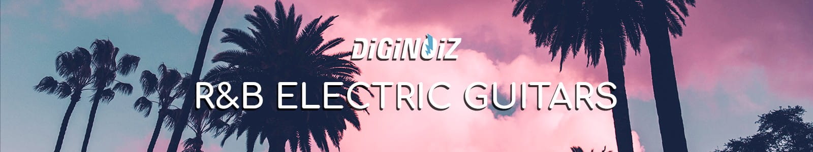 Diginoiz R&B Electric Guitars header