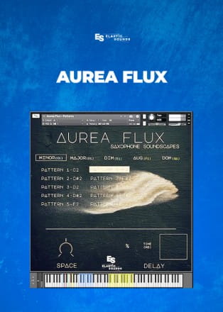 Elastic Sounds Aurea Flux Website Poster