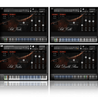 Aria Sounds LSS Solo Strings Bundle box shot