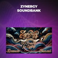 Damon Armani Zynergy Soundbank Website Poster