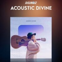 Diginoiz Acoustic Divine poster