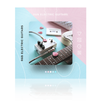 Diginoiz R&B Electric Guitars box shot