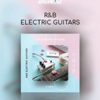 Diginoiz R&B Electric Guitars poster