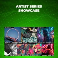 Function Loops Artist Series Showcase Website Poster