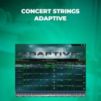 Kirk Hunter Concert Strings Adaptive Website Poster