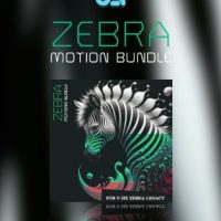 Oceanswift Zebra Motion Bundle poster min