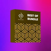 Rigid Audio Best Of Bundle