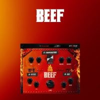 BEEF by Anarchy Audioworx