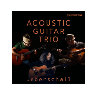 Ueberschall Acoustic Guitar Trio Website Box Shot