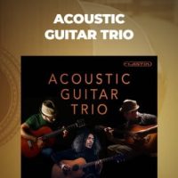 Ueberschall Acoustic Guitar Trio Website Poster