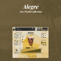 Wellencraft Alegre Website Poster