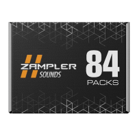 Zampler Sounds Best of Zampler Collection Website Box Shot
