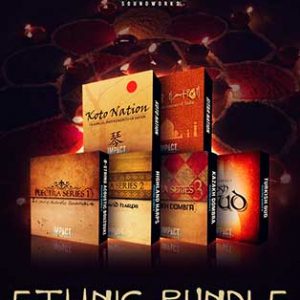 ethnic instruments bundle