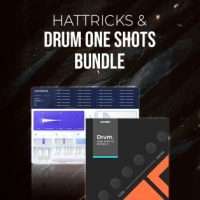 Hattricks + Drum One Shots Bundle by Diginoiz