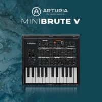 Arturia Minibrute V